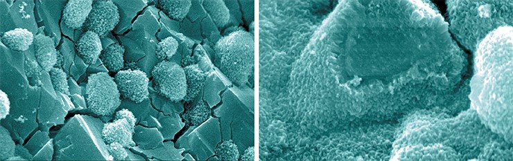 Эти нанокристаллы цеолита были синтезированы гидротермальным способом на специально подготовленной прочной подложке – микросферическом корунде с уже созданной системой транспортных мезо- и макропор. Электронная микроскопия (ИК СО РАН)