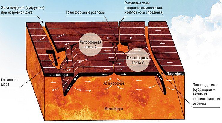 Тектоника литосферных плит подразумевает их механическое взаимодействие с мантийной «подложкой». Под влиянием конвекции в астеносфере они перемещаются по горизонтали. Кроме того, в зонах поддвига (субдукции) происходит опускание плиты в мантию, а в зонах спрединга образуется новая океаническая кора – центральные (рифтовые) структуры срединно-океанических хребтов. По: (Айзекс, Оливер, Сайкс, 1974)