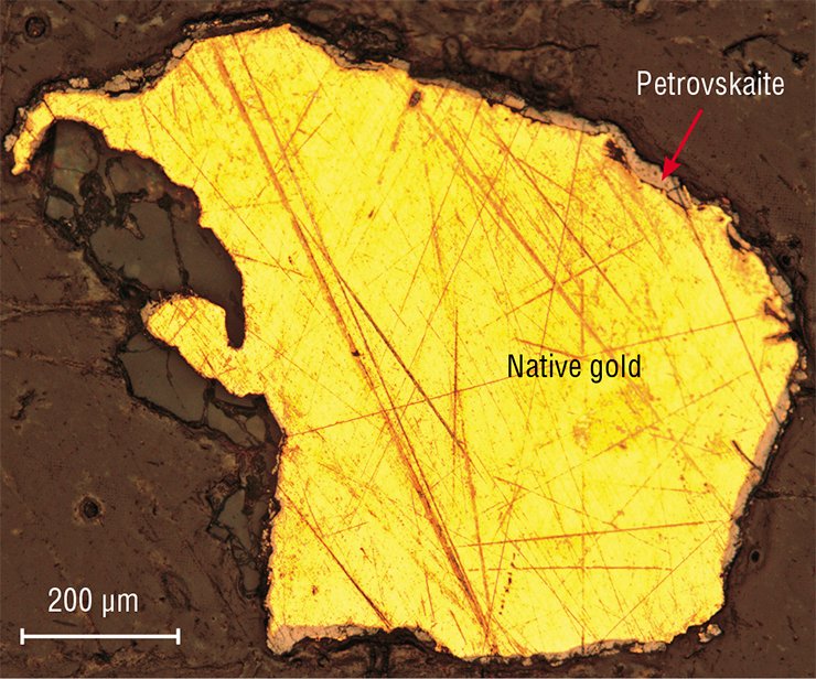 Energy dispersion imaging of a native gold sample (top) with a scanning electron microscope reveals the distribution of atoms of (a) silver, (b) gold, and (c) sulfur. The dark envelope covering native gold contains sulfur in addition to gold and silver. The ratio of elements corresponds to petrovskaite (AgAuS). Khopto deposit, Tyva