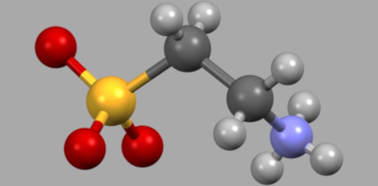 Структура молекулы серосодержащей аминокислоты таурина. Желтым цветом помечен атом серы, голубым – азота, красным – кислорода, темно-серым – углерода, светло-серым – водорода. Public Domain