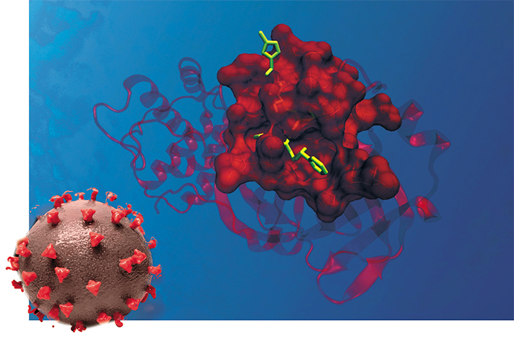 Молекулярная модель основного фермента протеазы вируса SARS-CoV-2 в комплексе с одним из потенциальных ингибиторов. По данным рентгеноструктурного анализа. © Zwitterio Cromenale. Слева – вирусная частица SARS-CoV-2. Художественная композиция. © NIAID