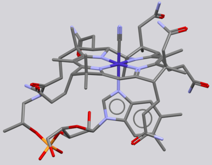 Модель молекулы витамина В12, или цианокобаламина (углерод – серый, кобальт – темно-синий, азот –, голубой, кислород – красный, фосфор – оранжевый). Public Domain