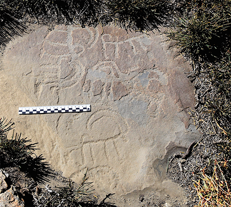 Akshow petroglyphs. Ibex images in a linear style. Akshow, Zanskar, 2019