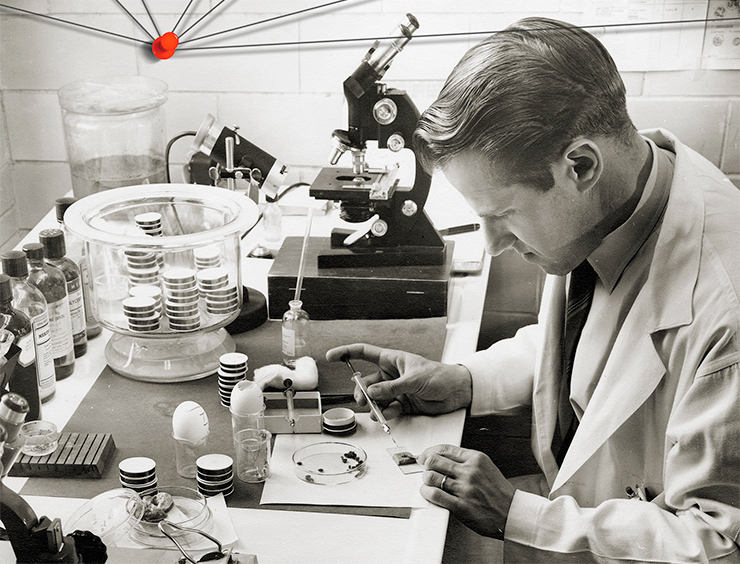 Dr. Willy Burgdorfer infests ticks of the Argasidae family. RMBL, 1954. Photo by N. Kramis. © NIH
