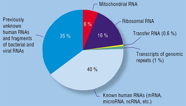 Over one billion of nucleotide sequences from the blood plasma samples of healthy and diseased individuals have been analyzed at the Institute of Chemical Biology and Fundamental Medicine by massively parallel sequencing. This led to the discovery of numerous RNA sequences of different origins and with manifold functions