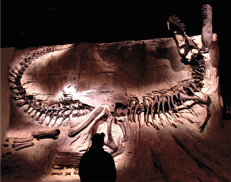 В Скалистых горах Альберты были найдены окаменевшие останки тираннозавра, названного «Черной красавицей». Оригинал находится в Королевском музее палеонтологии Тиррелла (Драмхеллер, Канада), а реплики экспонируются по всему миру. © Mike Beauregard