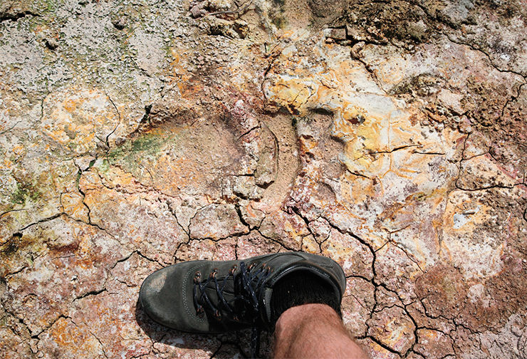 The Geyser Valley is home to numerous bears. The footprints of the local masters can be seen everywhere. Next to one of them a tourist boot of size 13 is put to show the scale