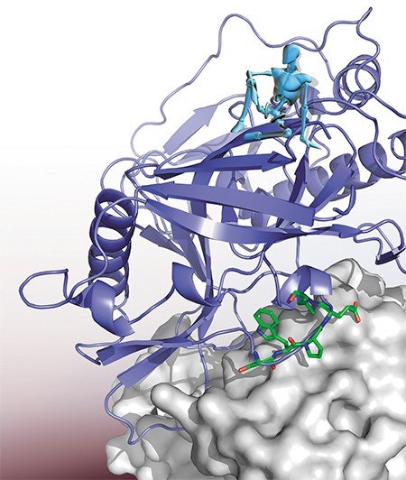 Белковая структура, смоделированная во время разработки вакцины против ВИЧ совместно с ГНЦ вирусологии и биотехнологии «Вектор»