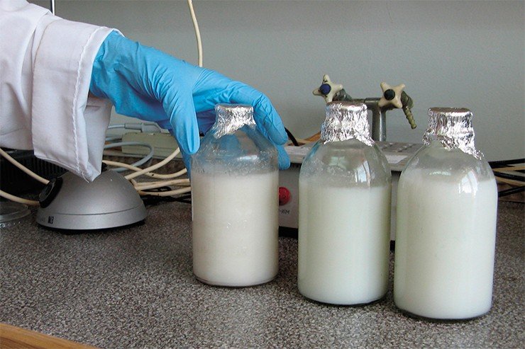 Женское молоко – богатый источник абзимов, включая уникальные, которые могут усиливать защитное действие пассивного иммунитета новорожденных