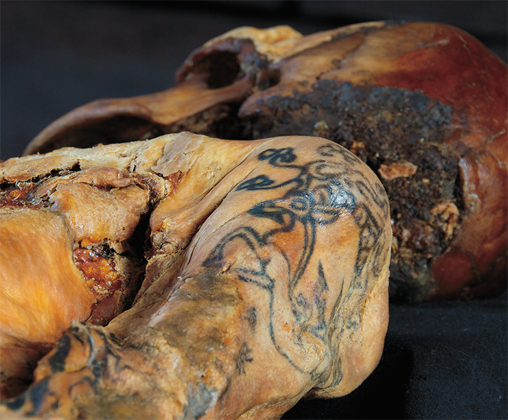 Pazyryk culture, with its tradition of mummifying the dead, paid special attention to tattoos. On the left – a tattoo worn by the woman from Tumulus 1, Ak-Alakha-3 burial site. Museum of the Institute of History, Archaeology and Ethnography, SB RAS, Novosibirsk 