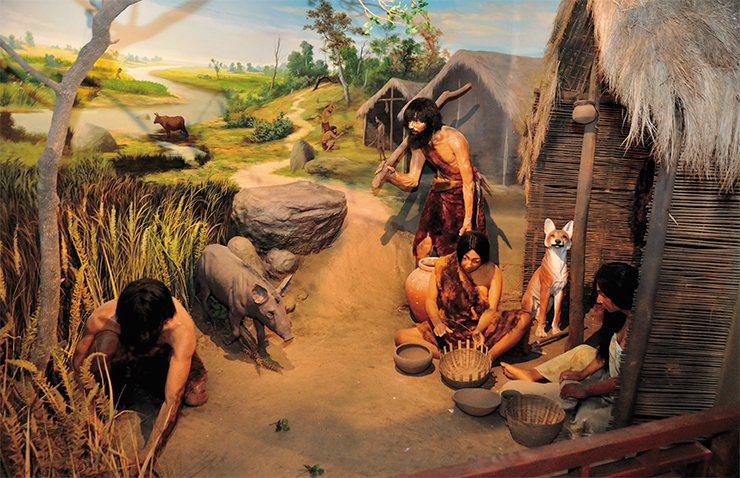 This diorama of an early Neolithic village shows marks of the Neolithic Revolution that caused the rapid increase of the share of grains and dairy in the diet and improved the general availability of food. Gallery of Science and Technology (Calcutta, India). Photo: B. Ganguli. © CC BY 3.0