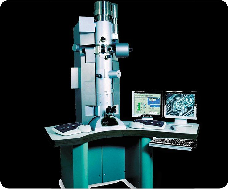 Просвечивающий электронный микроскоп Libra-120 (Carl Zeiss) предназначен для биомедицинских исследований