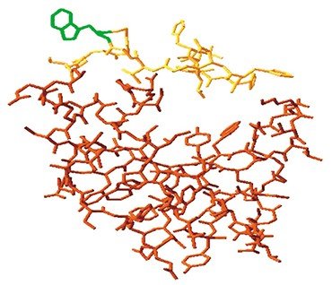 Этот пептид, входящий в состав оболочки некоторых клонов бактериофагов – бактериальных вирусов, способен вызывать специфичный иммунный ответ на канцероген бензопирен