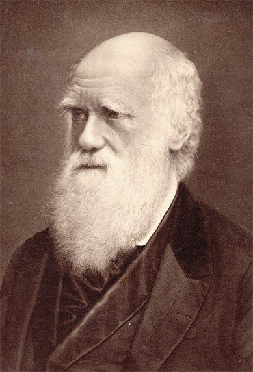 Чарлз Дарвин, 1868 г. Эта фотография – один из раритетов Государственного Дарвиновского музея – была привезена его основателем А. Ф. Котсом. Фото Дж. М. Кэмерон
