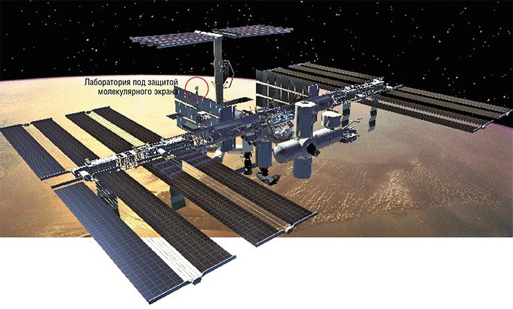 МКС обеспечивается электроэнергией благодаря работе солнечных панелей. Их общая площадь около 4 тыс. м² 