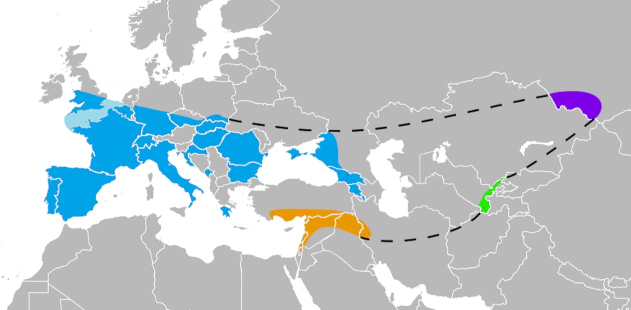 Известные регионы проживания неандертальцев: в Европе (голубым цветом), Юго-Восточной Азии (оранжевым), Узбекистане (зеленым), на Горном Алтае (фиолетовым). © CC BY-SA 3.0/Nilenbert, Nicolas Perrault III