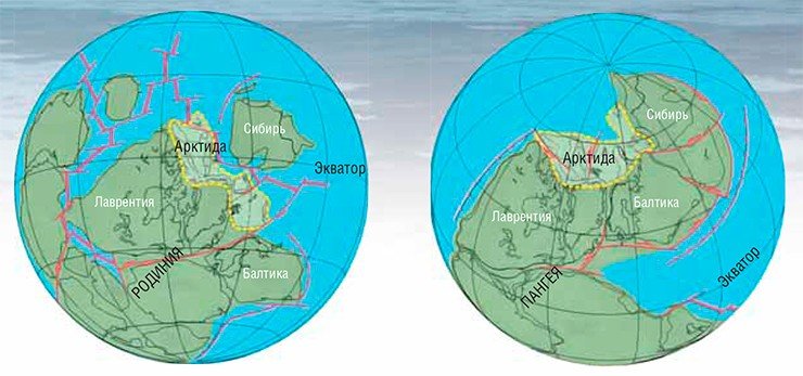 За 700 млн лет Арктида, первоначально входившая в состав суперконтинента Родинии (950 млн назад; а), а затем в суперконтинент Пангею (250 млн лет назад; б), изменила свою конфигурацию и широтное положение, но сохранила общее расположение между палеоконтинентами Лаврентией, Балтикой и Сибирью.   По: (Metelkin et al., 2015)