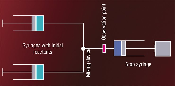 All flow methods for studying fast chemical reactions utilize a quick (approximately 1 ms) mixing of reactants. Left, scheme of the device for the stopped-flow method that requires very small amounts of initial reactants and is widely used in biochemical research