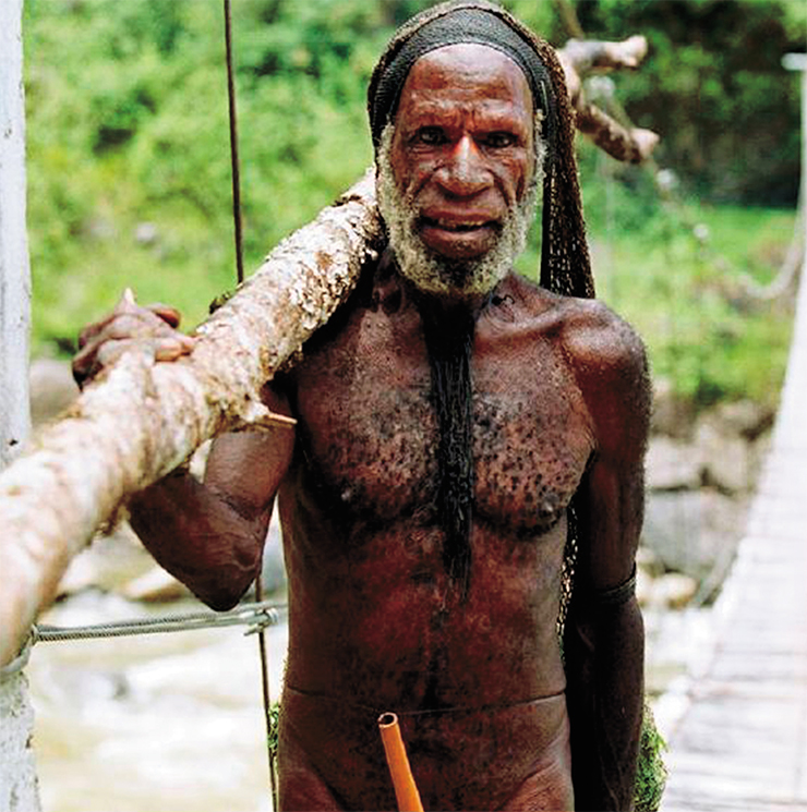 Абориген. Папуа-Новая Гвинея. Local Yali Tribeman Baliem Valley – Papua, CC BY 2.0, https://commons.wikimedia.org/w/index.php?curid=2106141