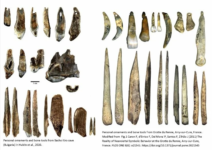 Украшения и костяные инструменты из пещеры Бачо Киро (слева) и из пещеры Grotte du Renne, Франция (справа). Артефакты из Бачо Киро оставлены H. sapiens и датируются примерно 45 тыс. лет назад. Артефакты из Grotte du Renne оставлены неандертальцами, и их возраст меньше. Credit: Розен Спасов и Джефф Смит, MPI EVA Лейпциг, лицензия: CC-BY-SA 2.0