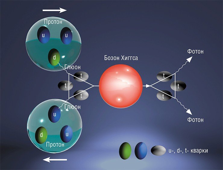 Сталкивающиеся в коллайдере протоны состоят из трех кварков (два u-кварка и один d-кварк), которые непрерывно испускают глюоны. При взаимодействии глюонов в момент столкновения рождается бозон Хиггса, распадающийся впоследствии на два фотона