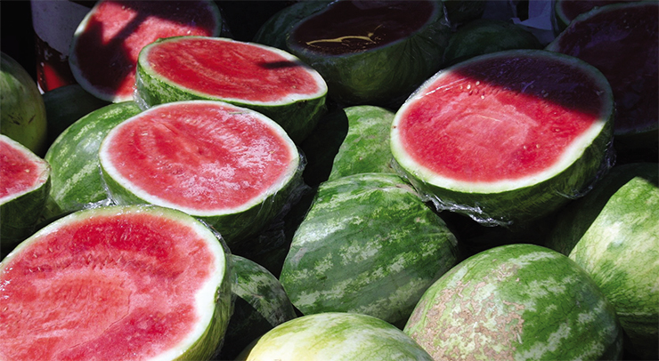 This seedless watermelon, a sweet tooth’s dream, is not a GM plant. It has three sets of chromosomes, an odd number, and thus cannot produce seeds. This hybrid has been obtained by breeding diploid (2 sets) and tetraploid (4 sets) parental lineages. © FreeImages.com/J David Eisenberg