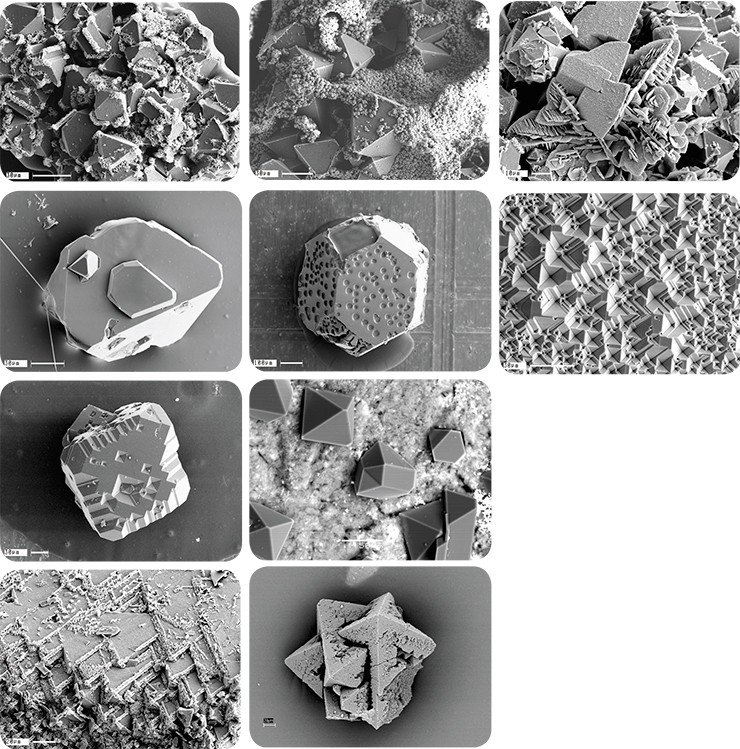 Так в электронном микроскопе выглядят алмазы и другие кристаллы (графит, коэсит, магнезит), полученные в экспериментах по моделированию процессов природного алмазообразования