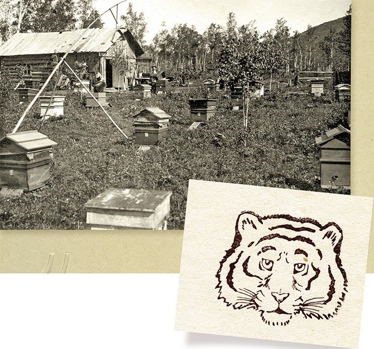 Слева: пчельник. Справа: голова тигра с обложки книги Л. Г. Капланова, ученика А. Н. Формозова, погибшего от рук браконьеров в 1943 г. 