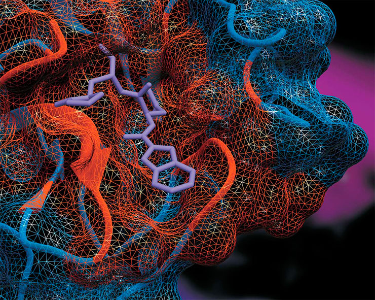 Один из вариантов потенциальных ингибиторов главной протеазы коронавируса Mpro в активном центре фермента, созданных в Институте химической биологии и фундаментальной медицины (Новосибирск). Сеткой показана поверхность белка. Активный центр отмечен красным цветом