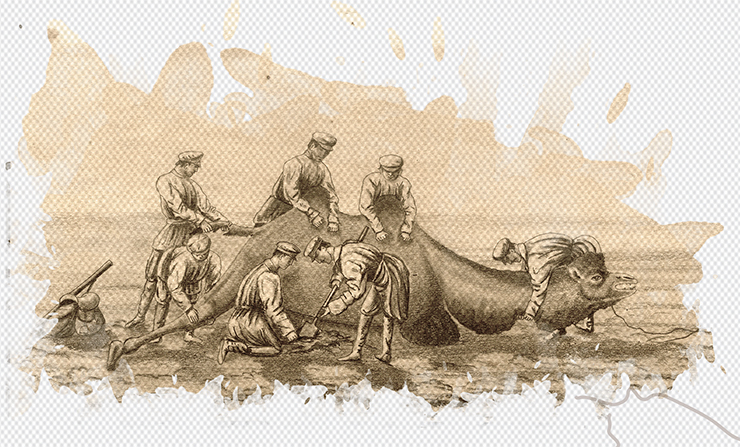 Откапывание верблюда, увязшего в песке. 1879 г. Бумага, карандаш. ОГБУК «Смоленский государственный музей-заповедник»