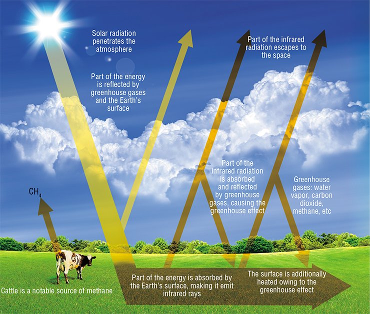 Precise forecasting of conceivable climatic changes requires comprehensive studies of all processes involving the solar energy received by the Earth: reflection, absorption, and dissipation. Right: outline of the radiation block “solar radiation–atmosphere–Earth’s surface”