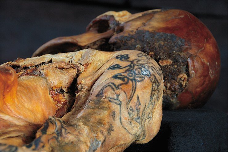 Фрагменты левой руки мумии женщины с татуировкой. Ак-Алаха 3, курган 1. Фото М. Власенко