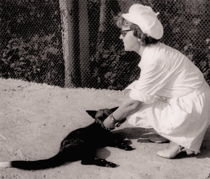 L.N. Trut with a tame fox. Photo from the L.N. Trut Archive