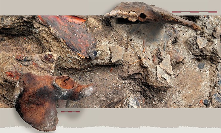 A girl’s bone remains found at the burial pit bottom of the 11th Noin-Ula tumulus cannon be qualified as anything but a miracle: for the Noin-Ula burial, anthropological material is exceedingly rare. Left: a pelvic bone, top: a fragment of a jaw
