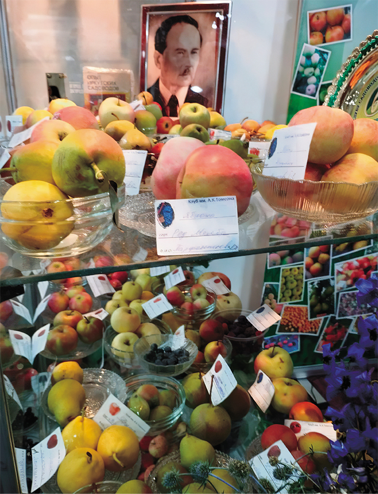 Экспозиция «Клуба Томсона» в выставочном комплексе «Сибэкспоцентр». Иркутск, 2025 г. 