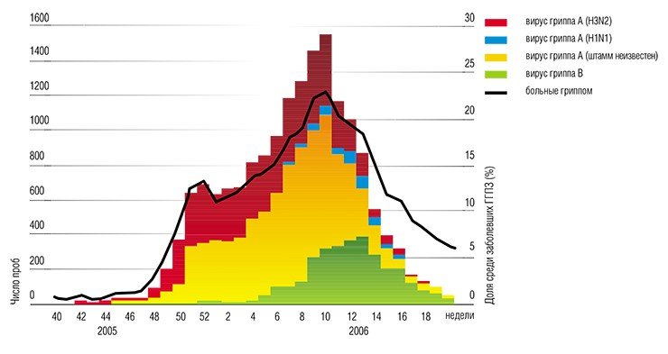 Этиологическая структура возбудителей гриппа в США в эпидемиологический сезон 2005/06 гг. В целом вирусы гриппа были выделены менее чем у четверти всех заболевших ГГПЗ (шкала справа). По http://www.cdc.gov/flu/weekly