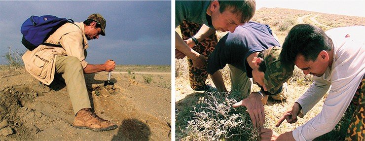 Слева: А. Громов, первооткрыватель редчайшего скорпиона псевдохактаса, в окрестностях Бухары. Узбекистан. Фото автора. Справа: охотники за скорпионами в Туркмении. Фото автора
