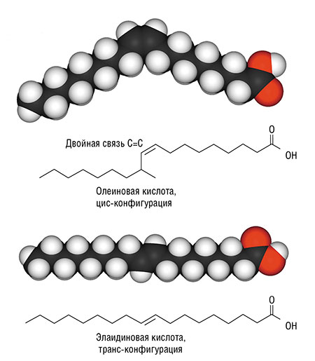 Эти жирные кислоты имеют одинаковый химический состав, но разные (цис- и транс-) конфигурации углеродных заместителей у двойной связи, что отражается на их свойствах. В процессе гидрирования растительного масла часть двойных связей в различных жирных кислотах с природной цис-конфигурацией переходит в транс-конфигурацию. Public Domain