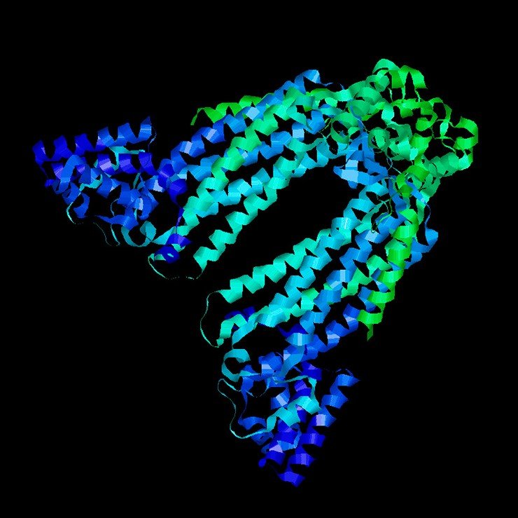 Структура белка дельта-кристаллина утки. Рентгеноструктурный анализ, Wikimedia Commons, public domain
