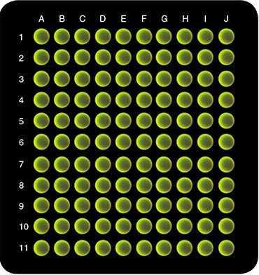 Структура микрочипа для определения ортопоксвирусов и герпесвирусов: споты 1A—10A – зонды для ортопоксвирусов; споты 10B—10F – зонды для вирусов герпеса 1 типа; споты 10H—10J и 11A—11C – зонды для вирусов герпеса 2 типа; споты 11D—11J – для вирусов герпеса 3 типа