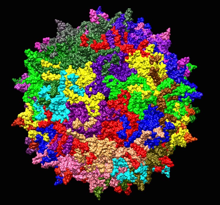 Поверхность аденоассоциированного вируса серотипа AAV-2. © CC BY-SA 4.0/Jazzlw