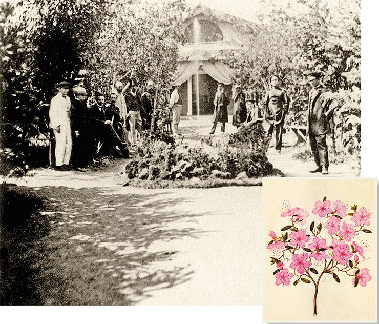 The longitudinal alley, Basnins’ Garden. 1869 Photo from Zenkovich’s archive