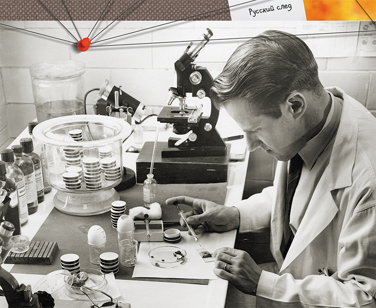 Доктор Вилли Бургдорфер заражает клещей из семейства аргасовых. RMBL, 1954 г. Фото Н. Крамиса. © NIH