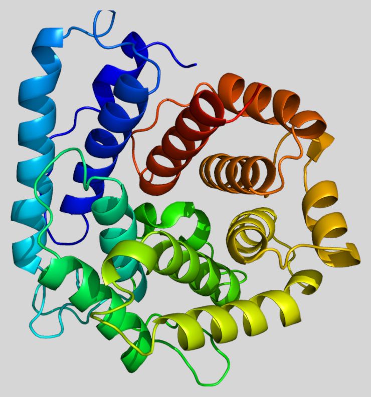 Структура белка С3. ©CC BY-SA 3.0/ Emw