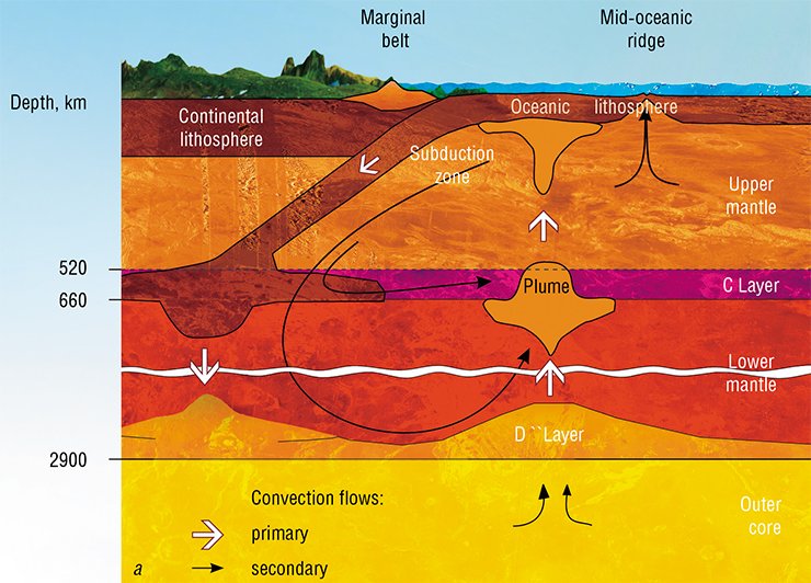 In the subduction zone the lithospheric (oceanic) plate sinks in the mantle (a) as the plates converge. The greater part of the slab substance plunges in the C layer but partially the material of the lithosphere descends down to the D `` layer (a transitional layer between the core and the mantle). The superplume (b) originates in the D `` layer. The substance uplifts from liquid “lenses” which contain partially melted mantle material and are characterized by ultra-low seismic wave velocities. The superplume rises from the D `` layer in the form of a huge mushroom; the head of the mushroom has remained in the transitional layer between the upper and lower mantle (a). From this layer the substance rises towards the Earth’s surface in the form of small plumes