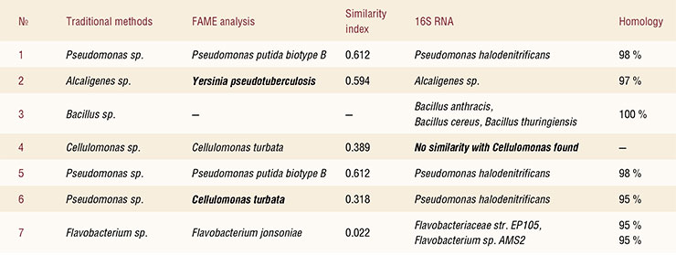 Comparative analysis of the strains of microorganisms obtained by various methods during the study of the brain of the Yukagir mammoth. Amazingly, methods for microorganisms identification which had been considered reliable in some cases showed inconsistent results (Repin et al., 2007)
