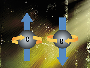 Модель спина электрона в рамках классической физики. Спины равны +1/2 (слева) и –1/2 (справа)
