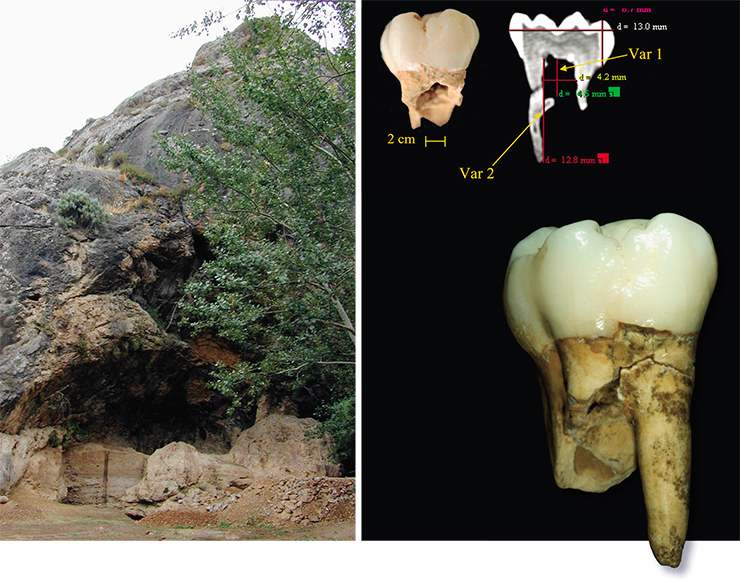 В гроте Оби-Рахмат обнаружены ископаемые останки уникального представителя рода Homo