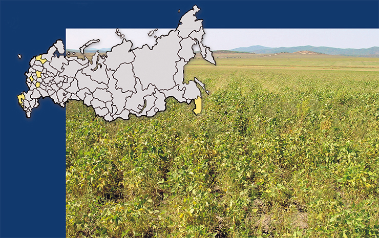 Пространственное распределение полевых участков для проведения испытаний ГМР на биобезопасность в РФ