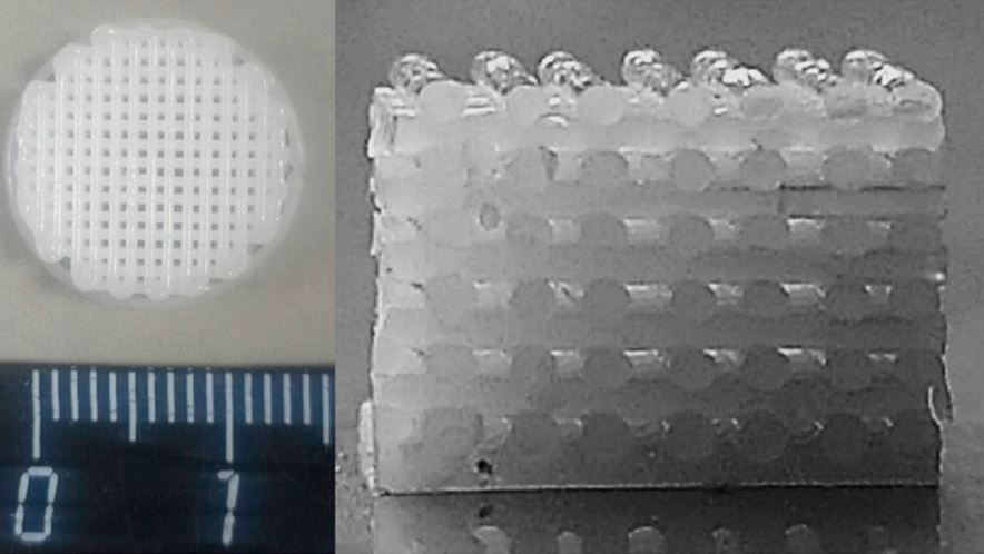 Фотография 3D-каркаса из биополимера общий вид (слева) и продольный разрез (справа)